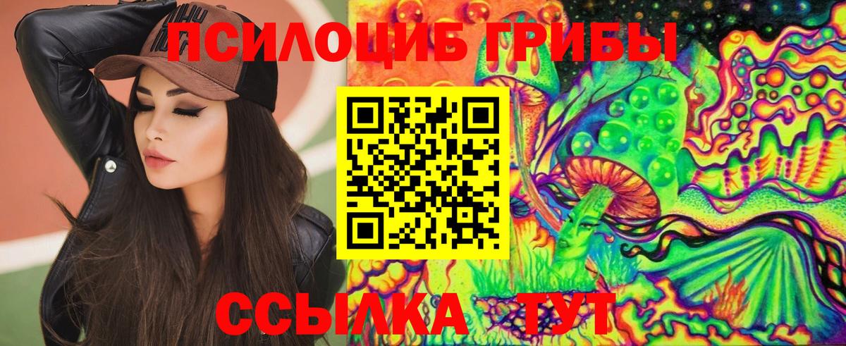 купить наркотик  Вход с VPN  Гай  Галлюциногенные грибы Magic Shrooms 