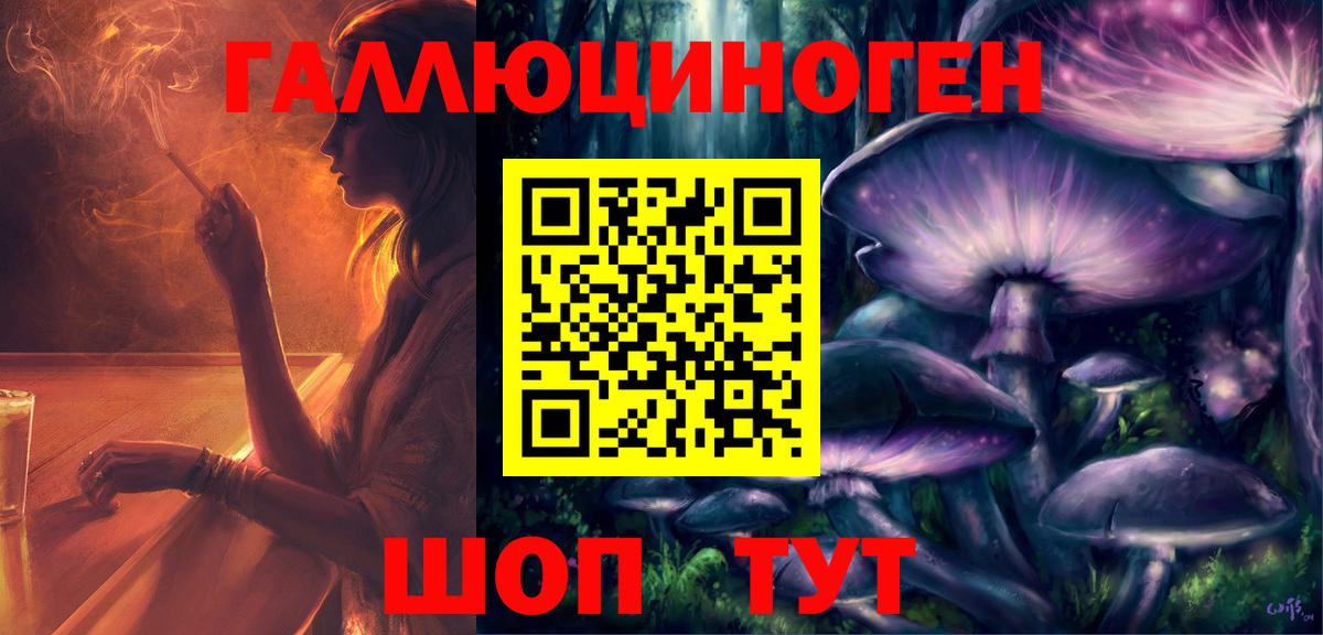 Псилоцибиновые грибы мицелий Гай